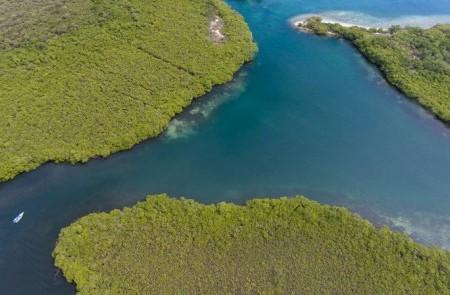 Mangrove Forest River Channel Aerial View Aerial view of a river channel between mangrove forests with a boat, clear tropical waters.