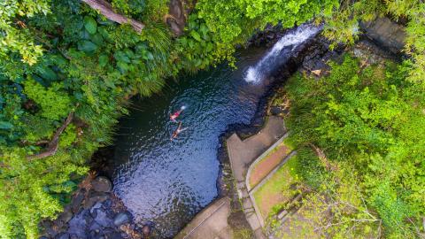 Secluded Waterfall Pond Swim In Lush Greenery Aerial view of waterfall flowing into pond with swimmers, surrounded by lush greenery.
