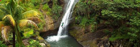 Adventurous Rappelling At Tropical Waterfall Adventurer rappelling down a tropical waterfall surrounded by lush foliage.