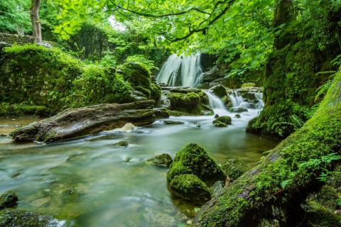 Serene Multi-Tiered Waterfall In Lush Forest Scene Serene forest waterfall scene with mossy rocks and lush green trees