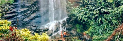Tropical Waterfall With Visitors In Lush Rainforest People by tropical waterfall in lush rainforest, perfect for nature enthusiasts