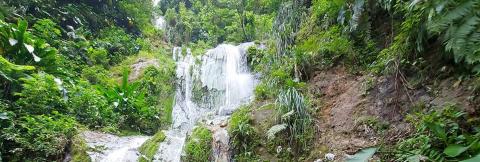 Tropical Waterfall In Lush Rainforest Scene Tropical rainforest waterfall with lush green foliage and cascading water over rocks