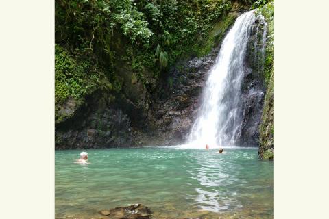 Scenic Waterfall And Swimming Hole In Lush Tropical Setting Scenic waterfall with turquoise pool and lush greenery, people swimming