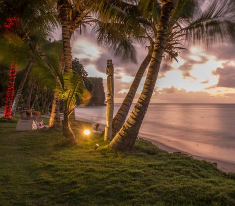 Sunset beach scene with palm trees, wooden sculpture, and cliff by the sea.