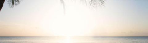 Serene beach sunrise with palm silhouettes and soft sky colors