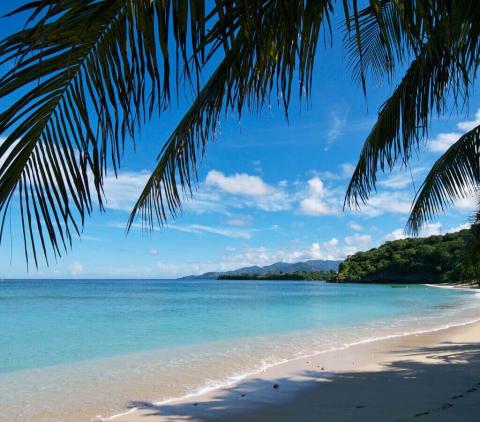 Serene beach scene with clear skies, calm waters, and palm-framed sandy shore