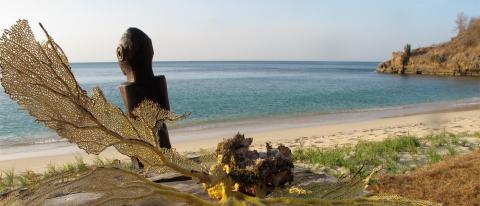 Tranquil beach with ocean view, wooden sculpture, and sea fan corals.