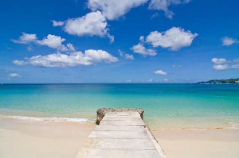 Serene beach path leading into turquoise sea under a clear blue sky with fluffy clouds