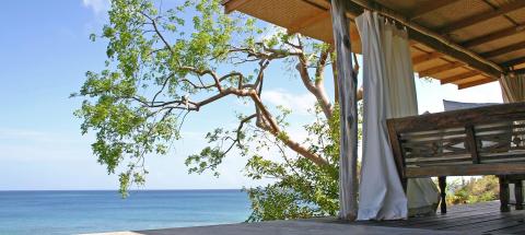 Serene seaside pavilion view with a wooden deck, tree, and billowing curtain.