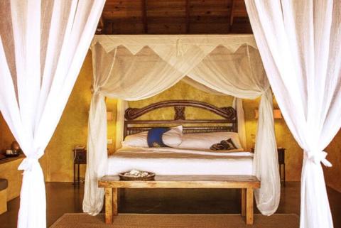 Rustic bedroom with wooden bed frame, white mosquito net, and yellow walls