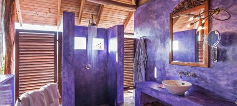 Rustic spacious bathroom with open shower, purple walls, and wooden accents.