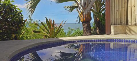 Tropical poolside with palm tree, sea view, and blue sky