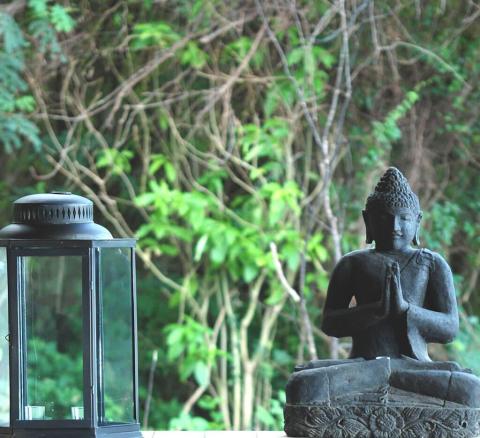 Buddha statue in meditation pose with lantern and green foliage background