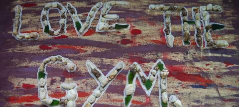 Seashell and coral artwork spelling 