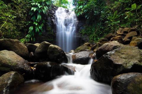 Lush waterfall in dense forest with mossy rocks and green foliage, peaceful natural scene