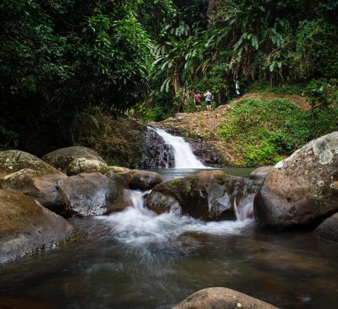Serene waterfall scene with people walking by in lush tropical forest
