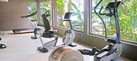 Indoor gym with treadmill, bikes, elliptical, large windows, and serene green views.