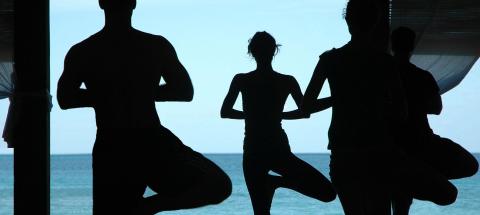 Three silhouettes in yoga poses by a serene sea in a tranquil indoor setting