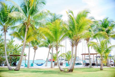 Tropical beach with coconut palms, blue chairs, boats, and calm sea