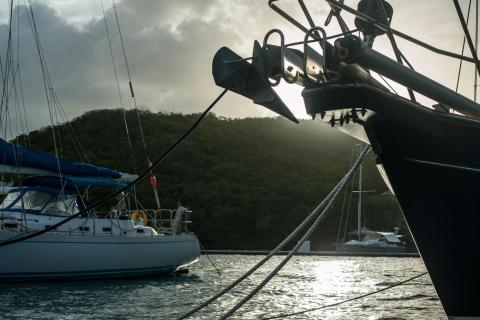 Serene harbor scene with sailboats moored at sunrise, lush forest backdrop.
