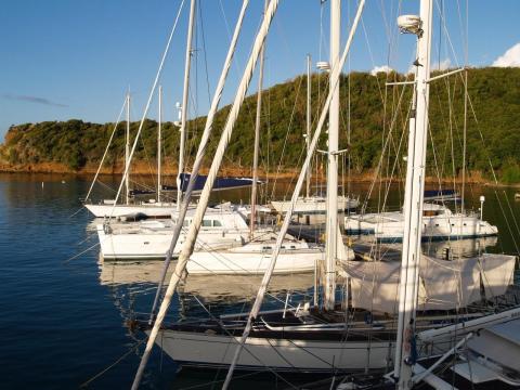 Marina with sailboats, green hillside backdrop, calm blue waters, morning or late afternoon light