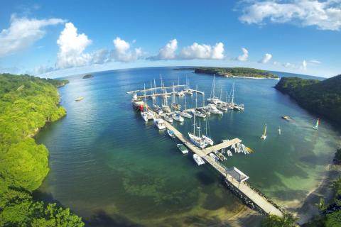 Scenic marina with yachts and sailboats surrounded by lush greenery and rolling hills.