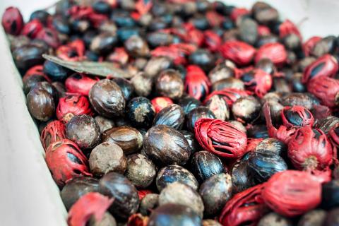 Nutmeg seeds with red mace aril, used for aromatic cooking spices
