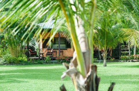 Scenic garden with lush foliage and a cottage, ideal for relaxation
