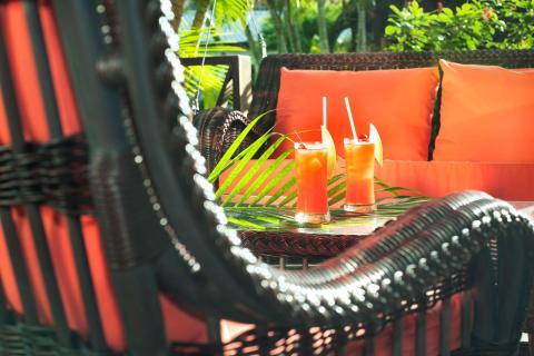 Outdoor sitting area with wicker furniture and tropical plants, serving refreshing drinks.