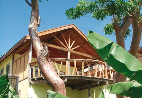 Tropical two-story building with decorative gable roof and lush greenery