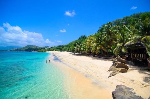 Tropical beach with clear turquoise waters, sandy shore, and lush palm trees