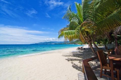 Relaxing tropical beach with palm trees, clear blue sea, and distant mountains.