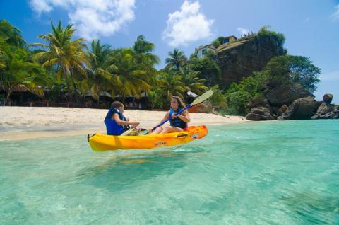 Two people kayaking by a sandy beach with palm trees and cliffs under a sunny sky.