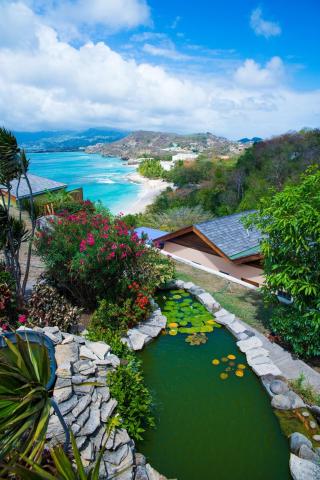 Tropical landscape with lush hillside, sandy beach, and water lily pond