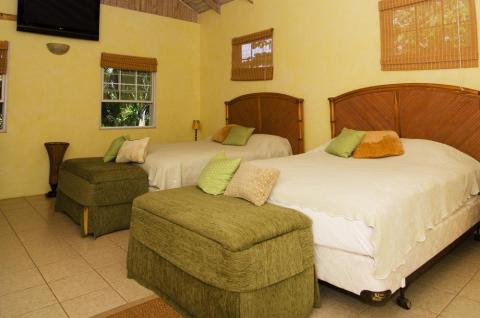 Tropical resort bedroom with lush view, vibrant pillows, and wooden decor
