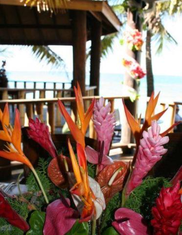 Colorful tropical flowers with scenic beach and ocean background at a resort.