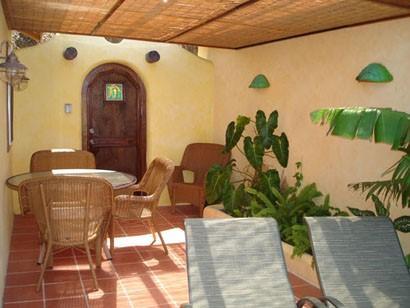 Cozy patio with terracotta tiles, rattan chairs, and lush plants for a serene outdoor setting.