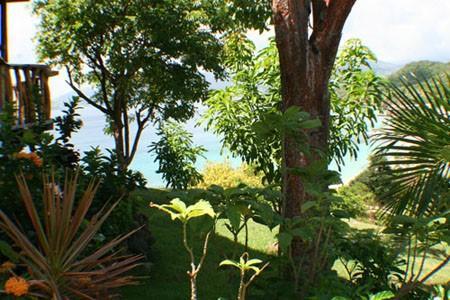Lush tropical garden with palm, green foliage, and hilly backdrop on clear day