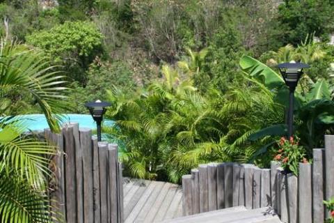 Wooden deck pathway with tropical plants and lamp posts, sunny day