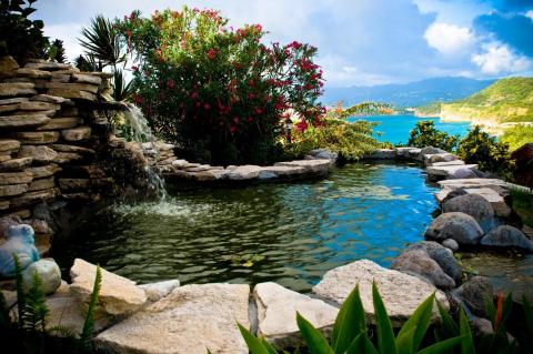 Lush garden with cascade waterfall, pink flowers, and coastal view in a tropical resort
