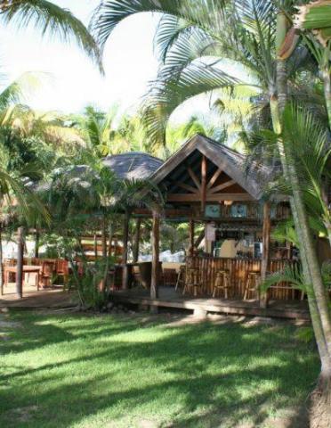Thatched-roof tropical bar surrounded by palm trees in a serene vacation setting