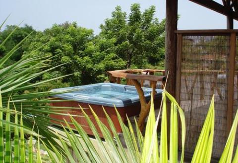 Outdoor hot tub with wooden enclosure in a lush green garden setting