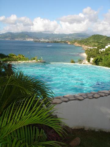 Scenic infinity pool blending with ocean, lush greenery, and sunny clear skies