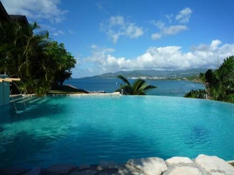 Scenic infinity pool overlooking bay with palm trees and clear sky