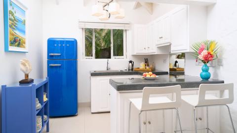 Modern kitchen with blue SMEG fridge, tropical decor, and lush view.