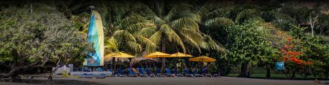 Tropical beach with sailboard, chairs, umbrellas, and lush palms, ideal for vacation.