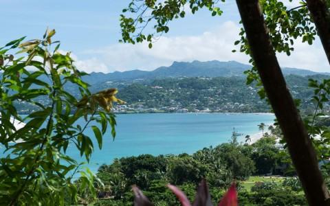 Scenic coastal view framed by lush greenery and flowers, perfect for relaxation.