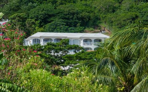 Tropical resort with balconies surrounded by lush greenery and palm trees