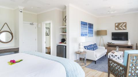 Stylish dual-purpose room with bed, sofa, TV, and decorative mirror enhancing a serene ambiance.