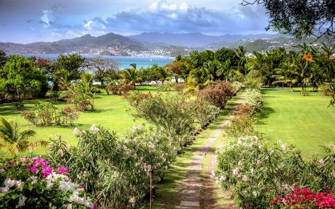 Lush garden with floral path leading to a scenic coastal view